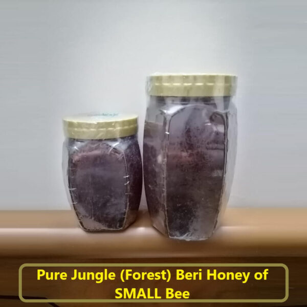 Pure Jungle (Wild) Beri Honey of SMALL Bee in Islamabad, Rawalpindi Pakistan